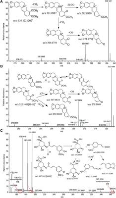 Evaluation of raw and processed Phellodendri Chinensis Cortex using the quality marker analysis strategy by UHPLC-Q-Orbitrap MS and multivariate statistical analysis